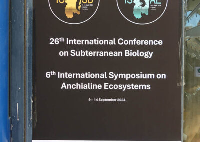 Conference Poster