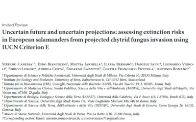 New review paper: The opinion of Italian herpetologists on the use of Criterion E for species assessmentrelated to the monitoring activities performed on Speleomantes cave salamanders